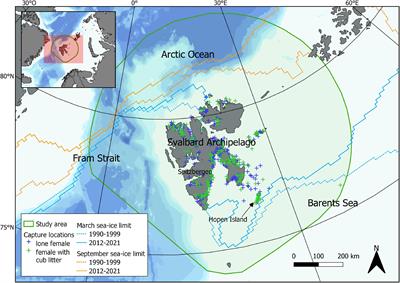 Reproductive senescence in polar bears in a variable environment